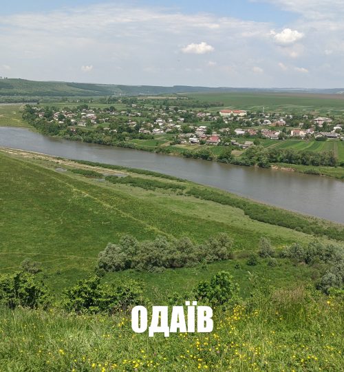 text-odaiv